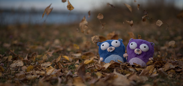 22207522091_3f77916264_z